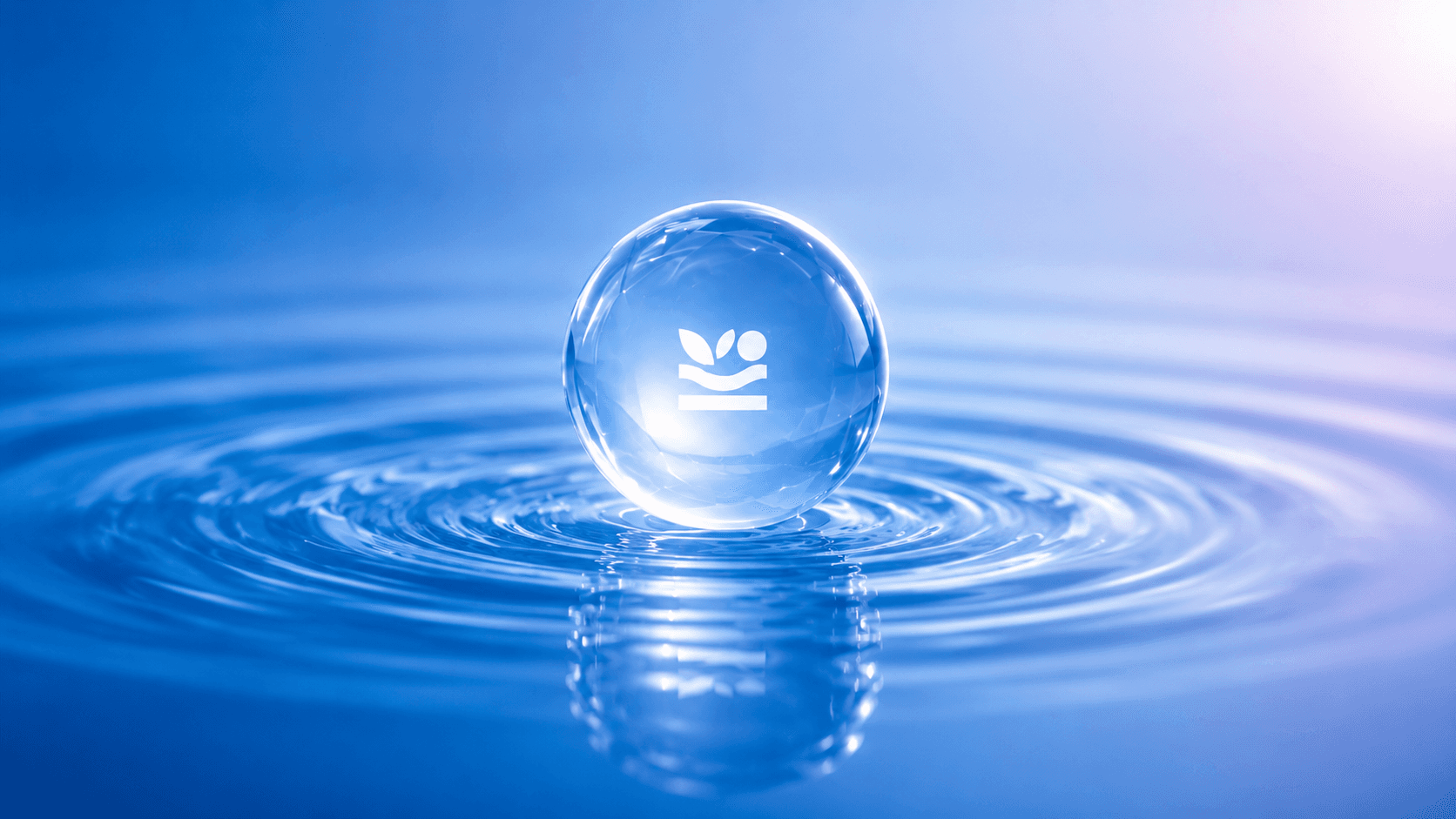 somanai logo in a body of water